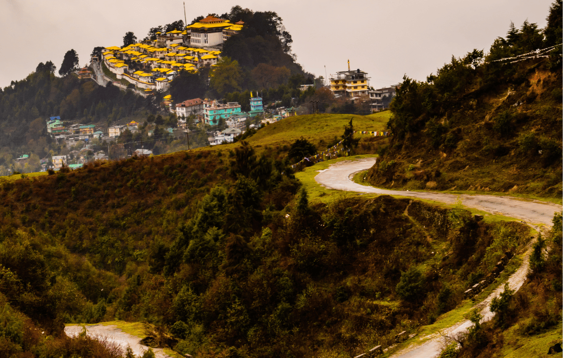 Scenic Drive